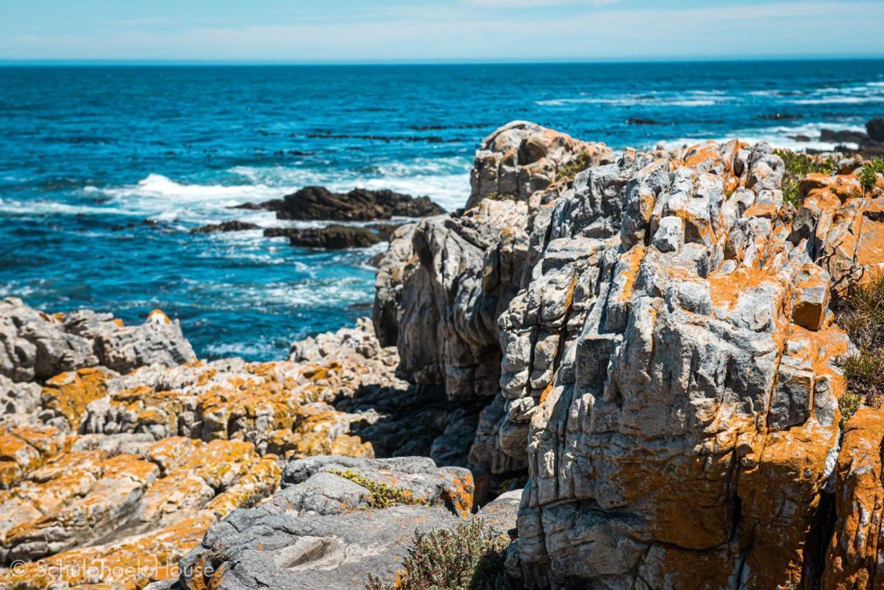 Schulphoek Seafront House Hermanus Extérieur photo The coast of the park