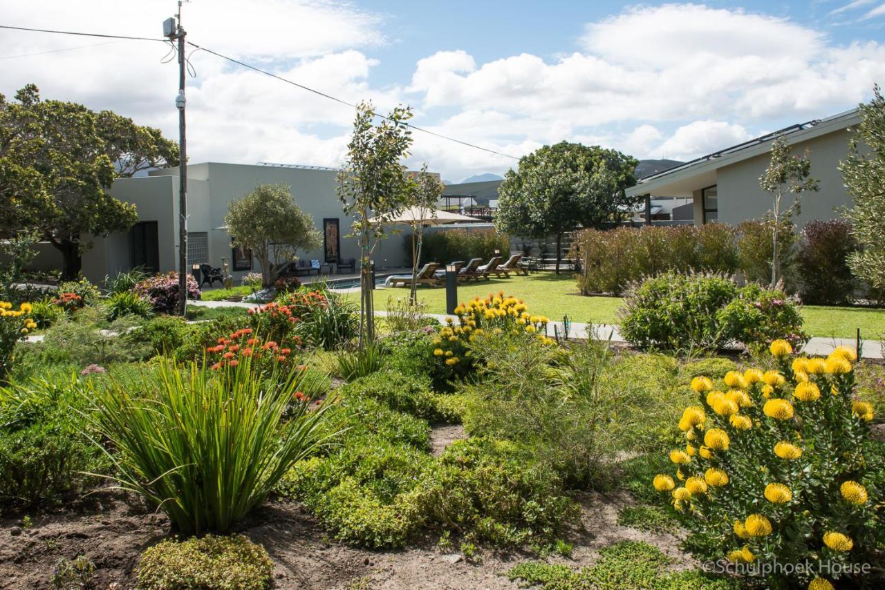 Schulphoek Seafront House Hermanus Extérieur photo The courtyard at the school